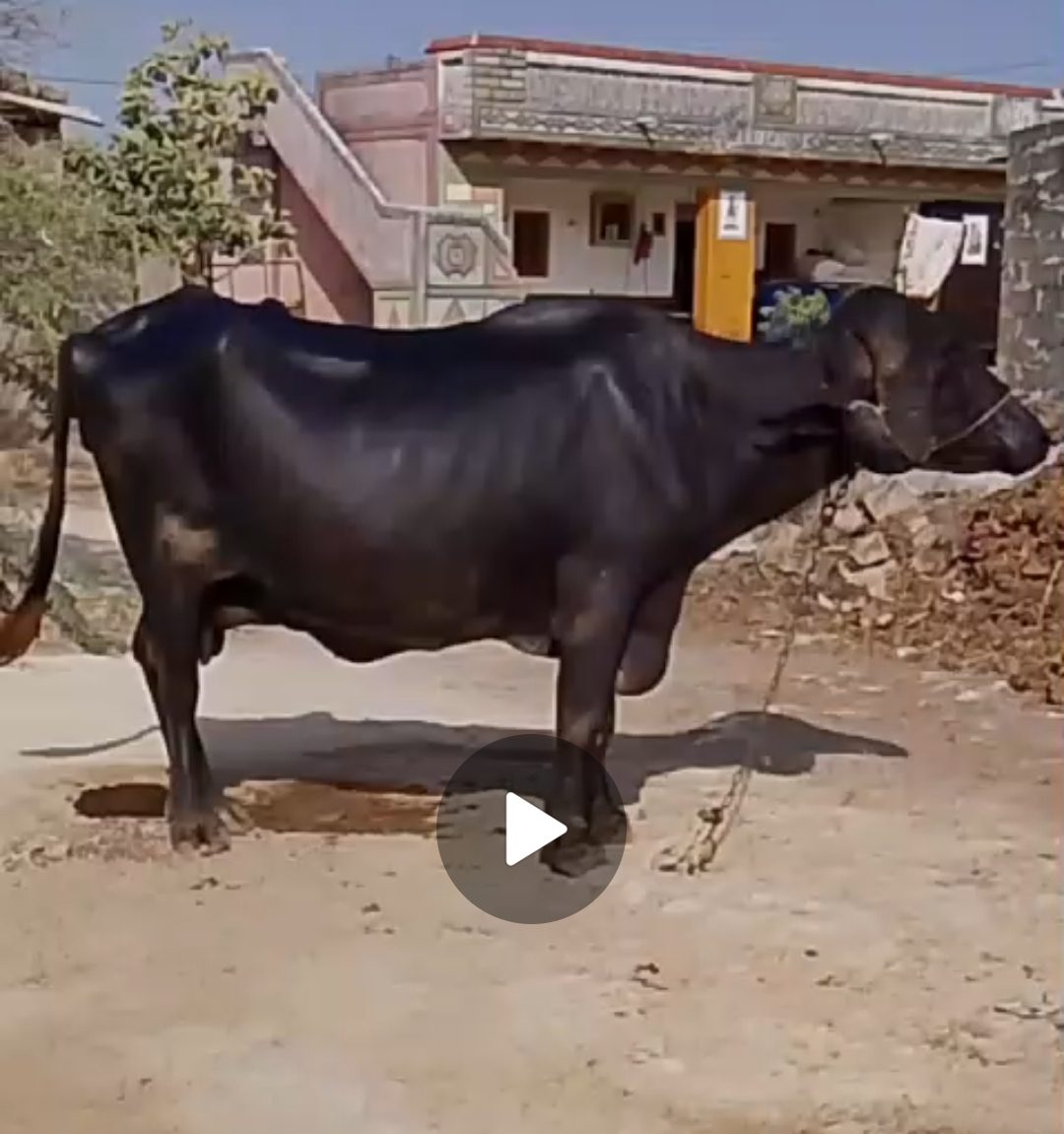 વેચાણ માટે