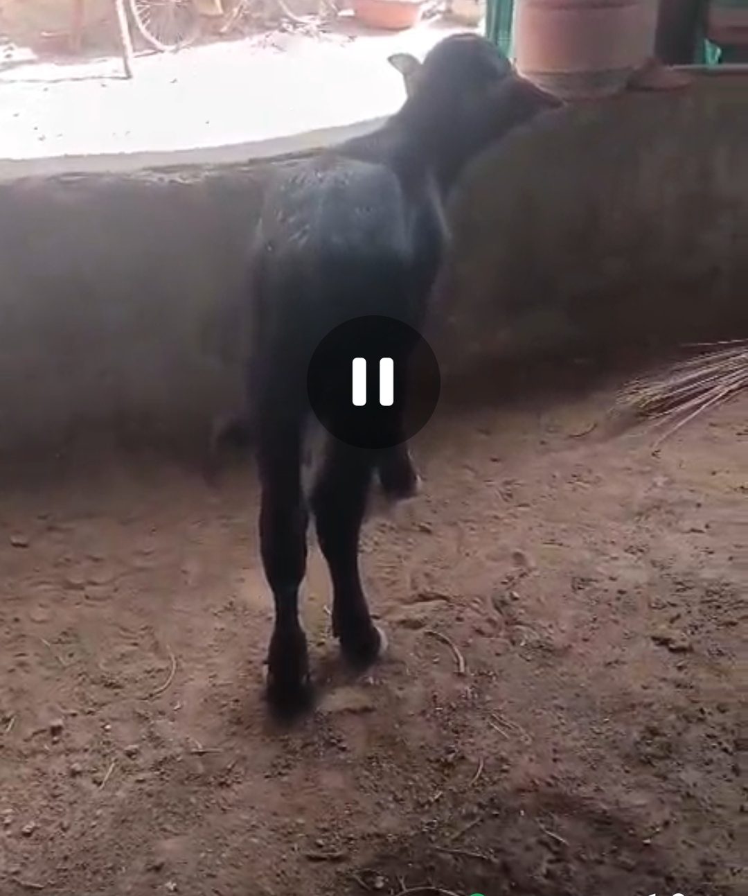 વેચાણ માટે 2