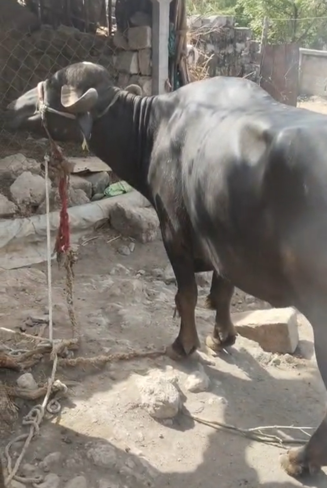 વેચાણ માટે