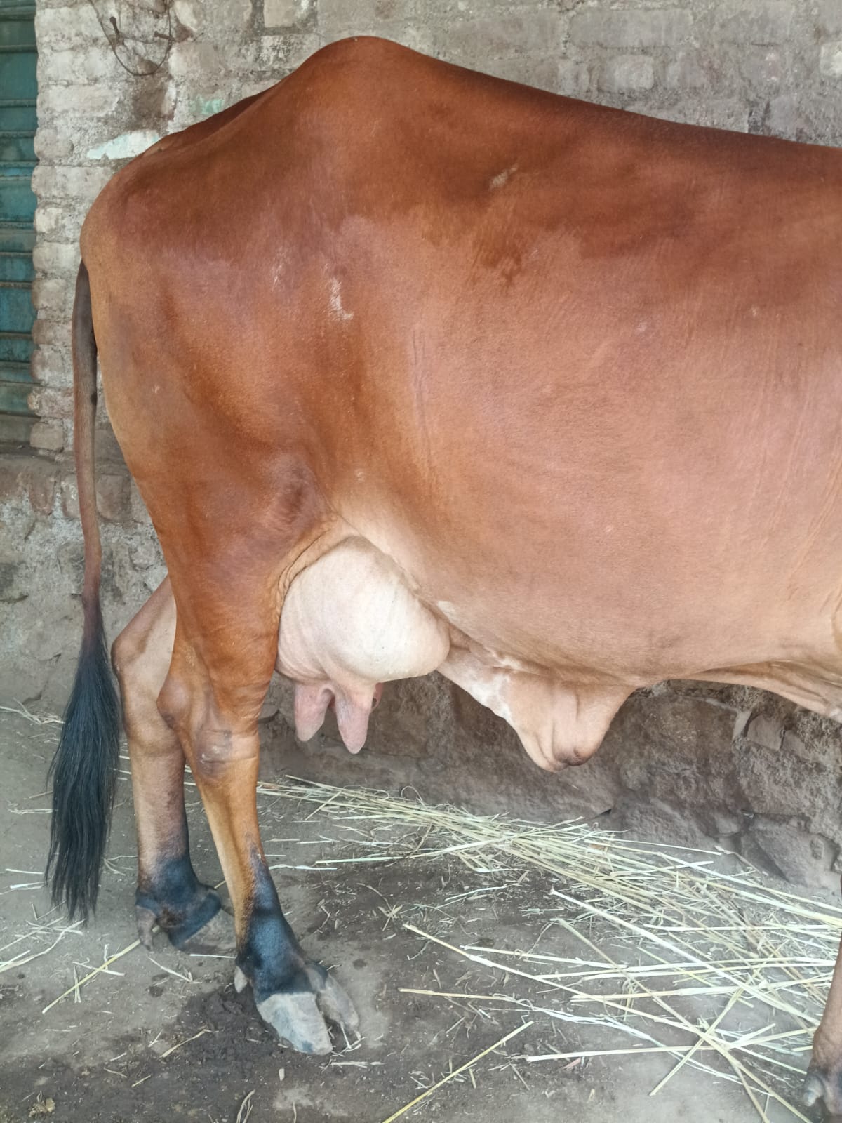 વેચાણ માટે 2