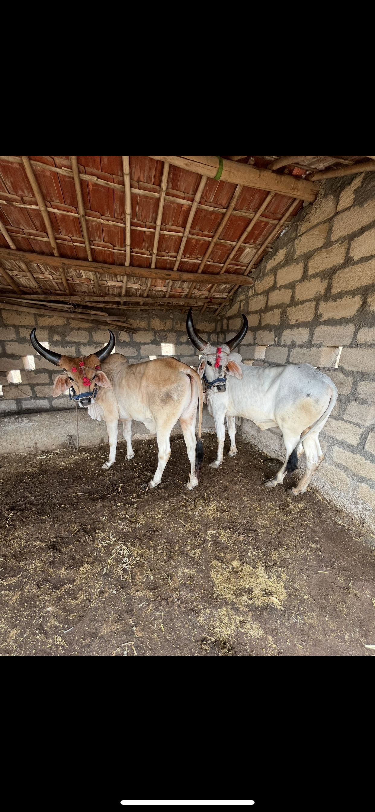 ₹35,000 માં  ટ્રેક્ટર અને ખેતીના સાધનો