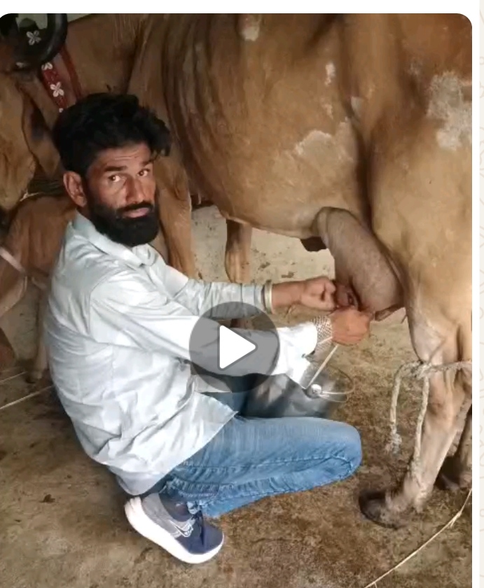 વેચાણ માટે 3