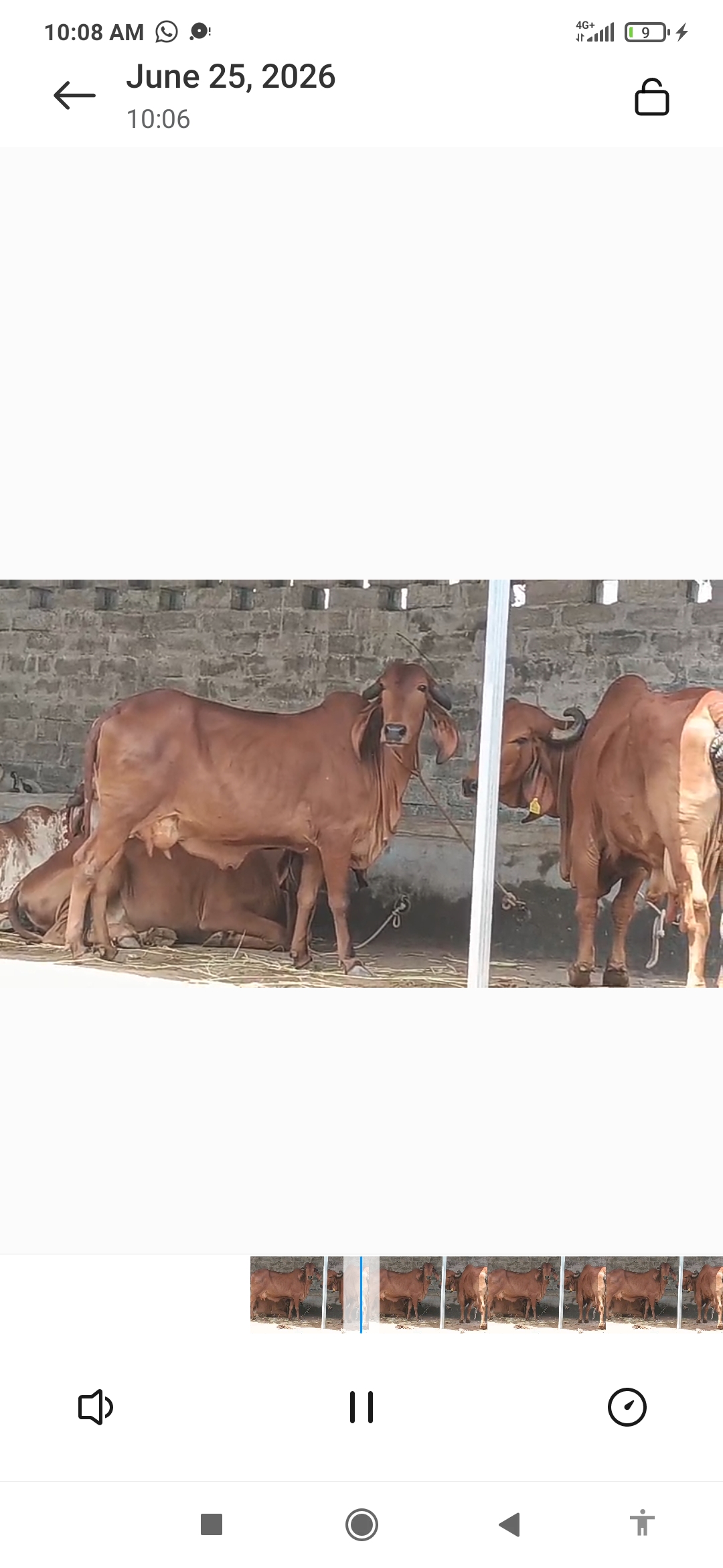 વેચાણ માટે