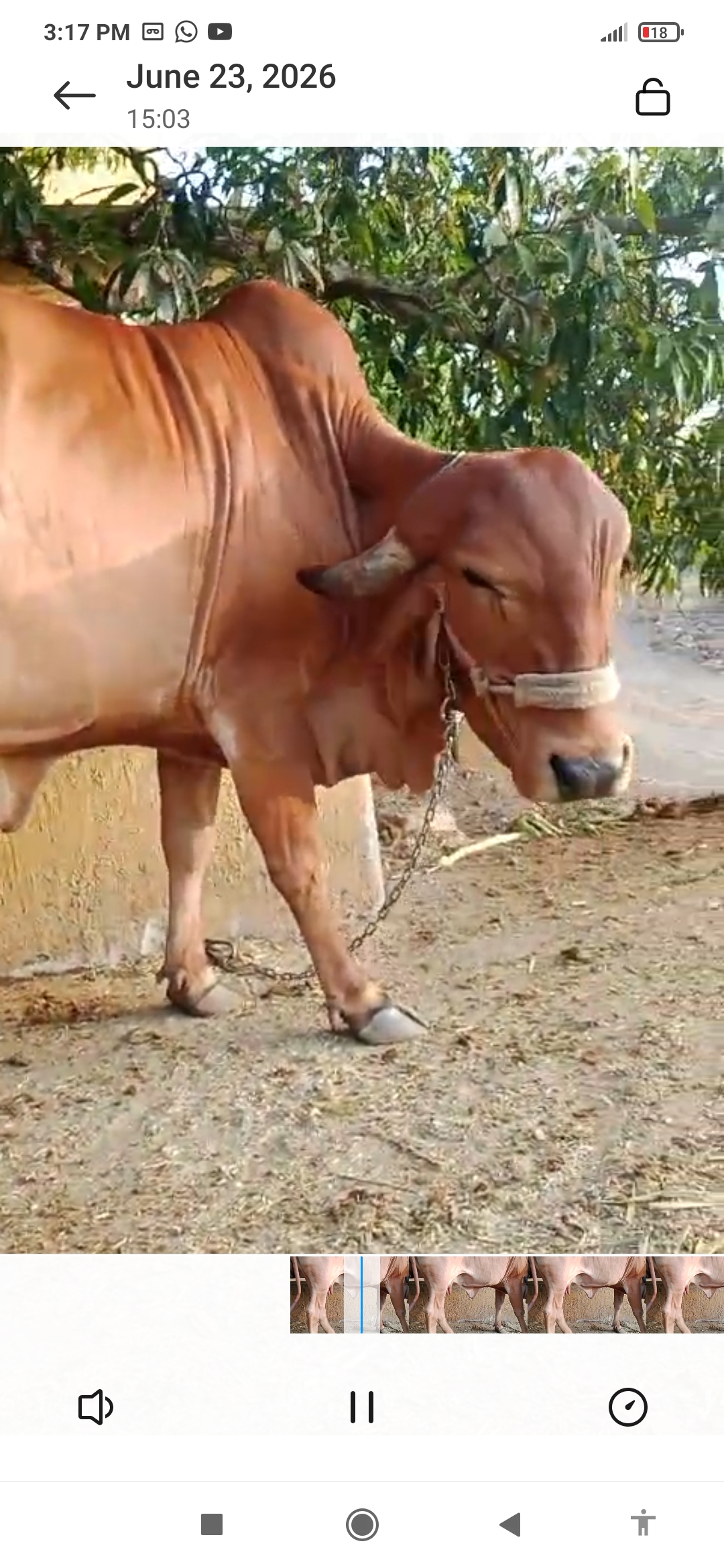 વેચાણ માટે 4