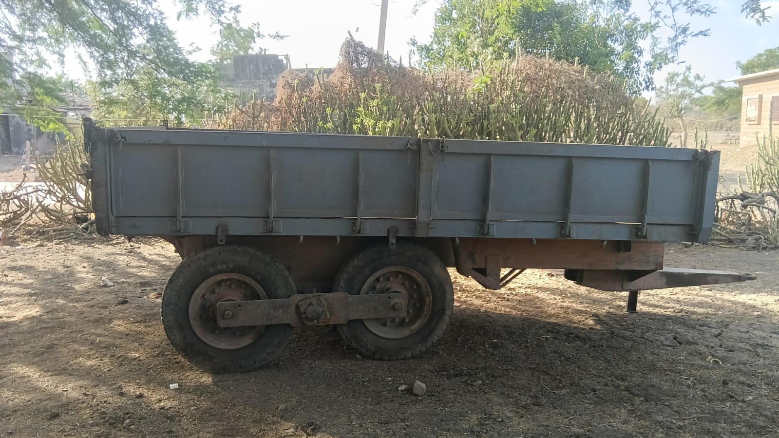 ટોલી વેચવાની છે 2