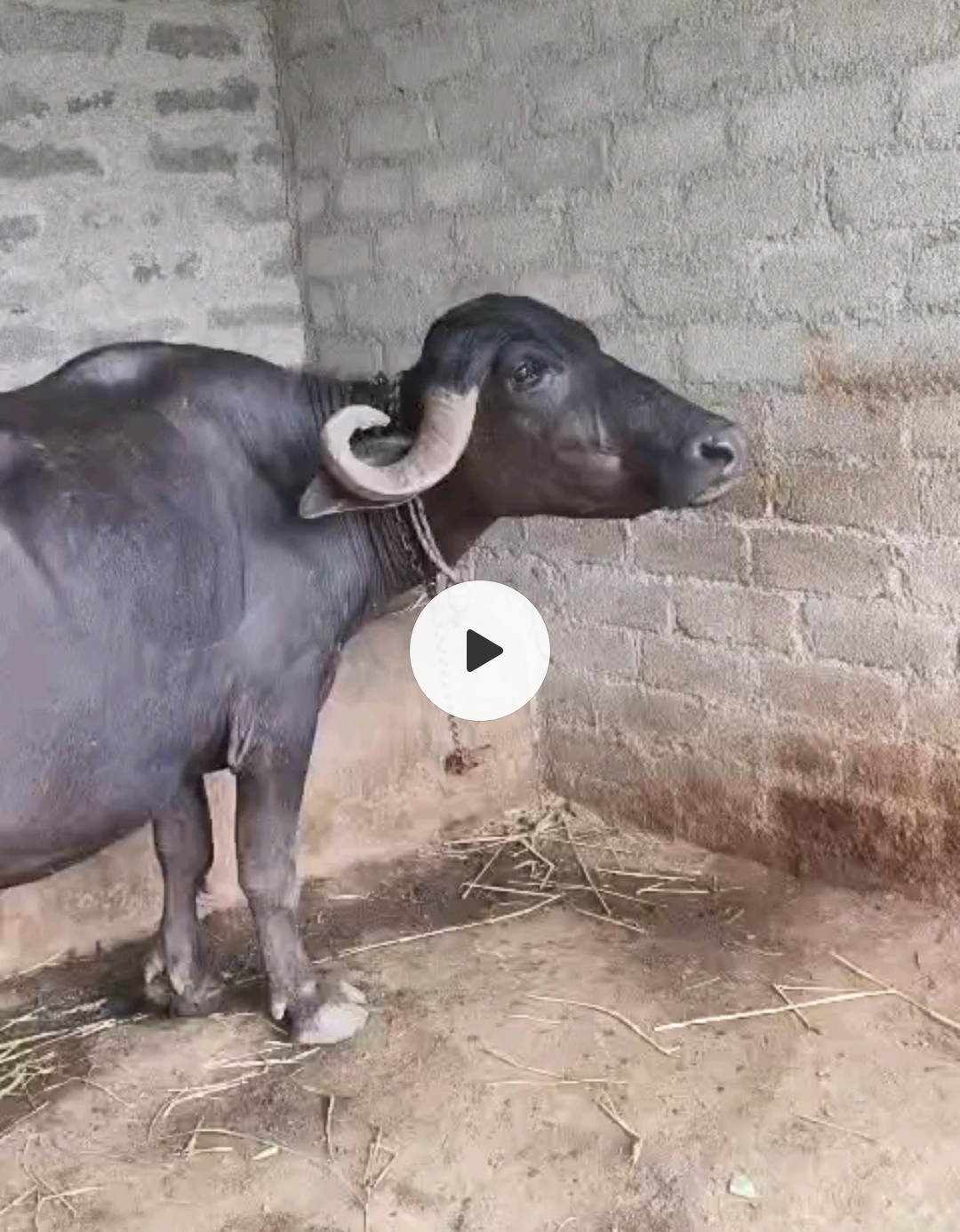 વેચાણ માટે