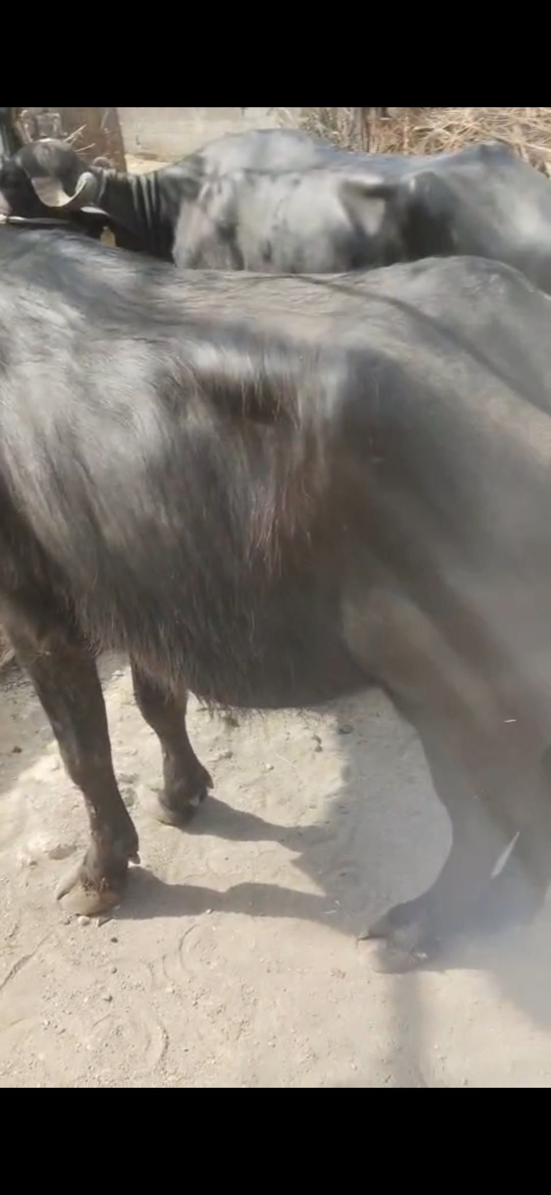 વેચાણ માટે 4