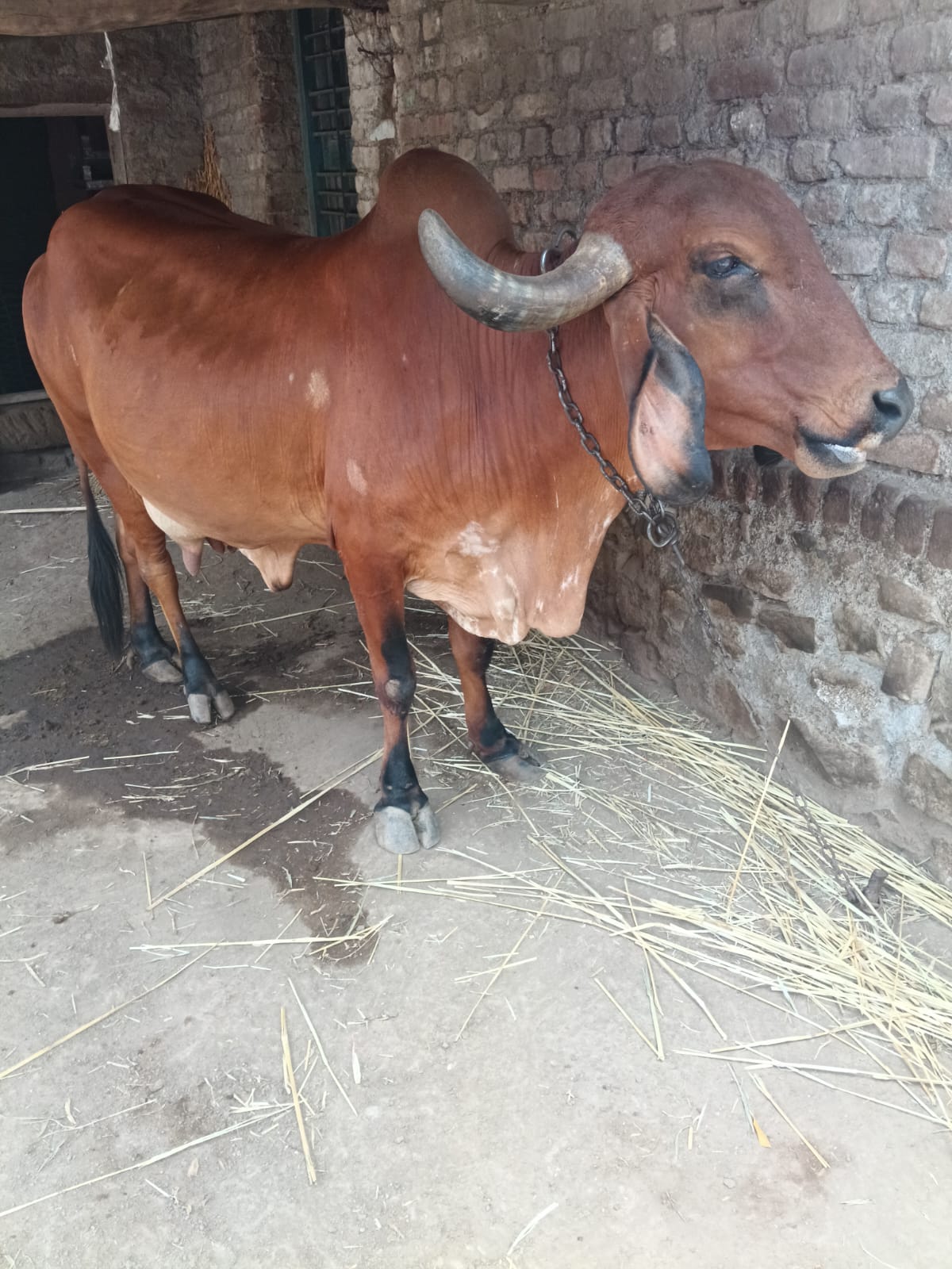 વેચાણ માટે 4