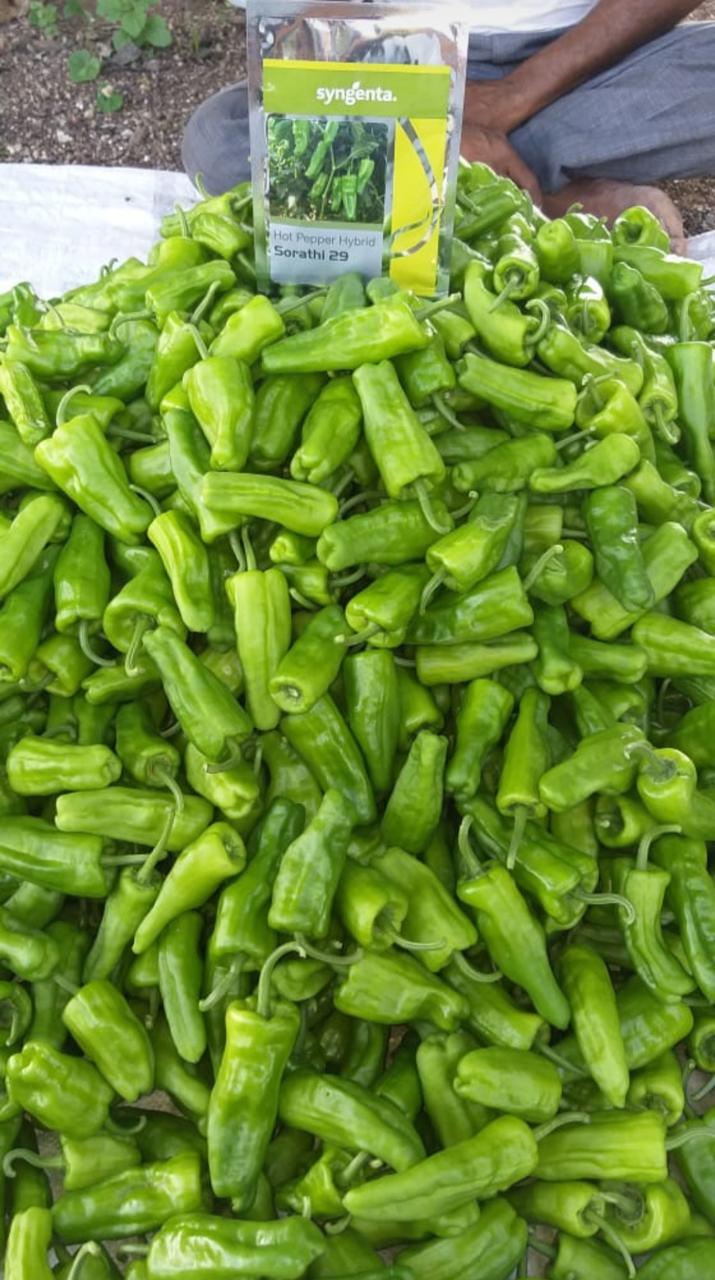 વેચાણ માટે
