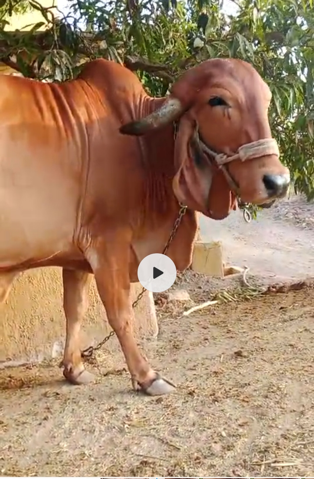 વેચાણ માટે 2