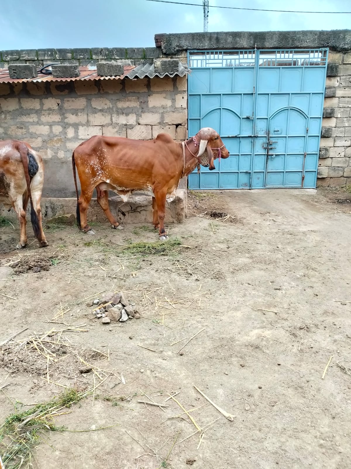 વેચાણ માટે 4