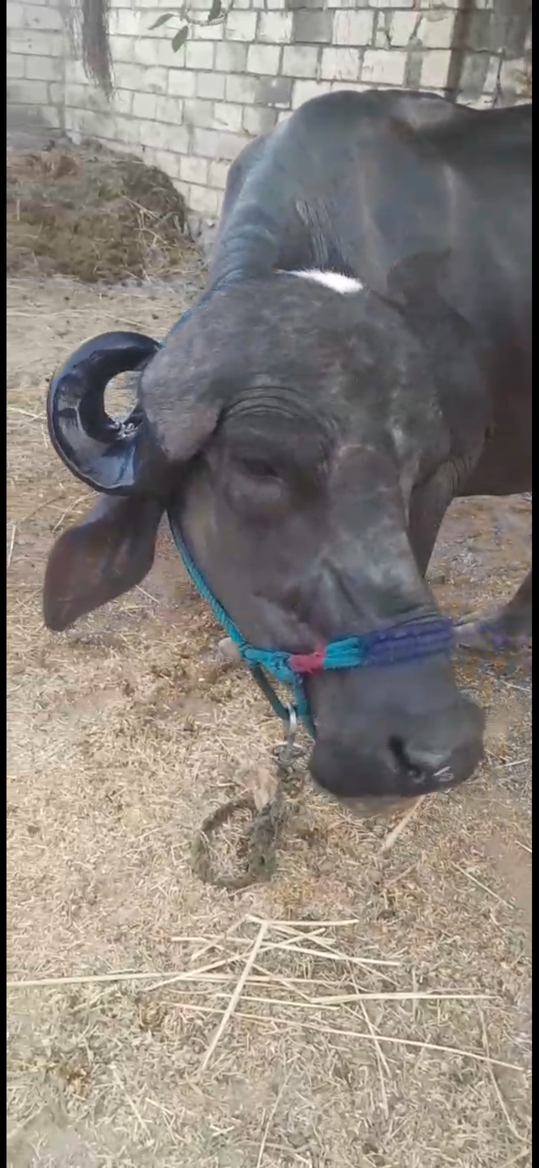 વેચાણ માટે 4