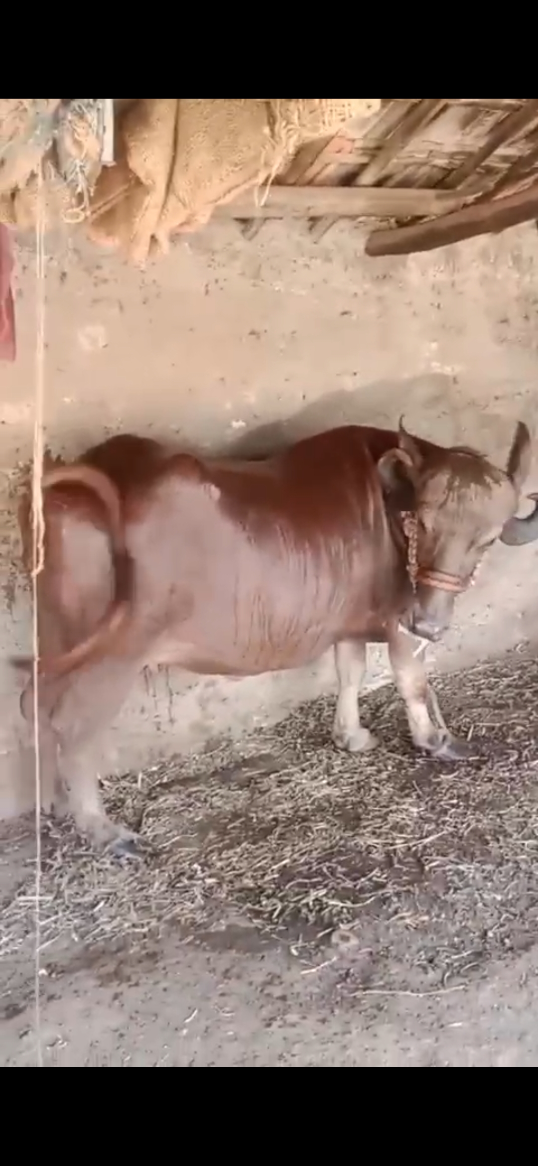 વેચાણ માટે