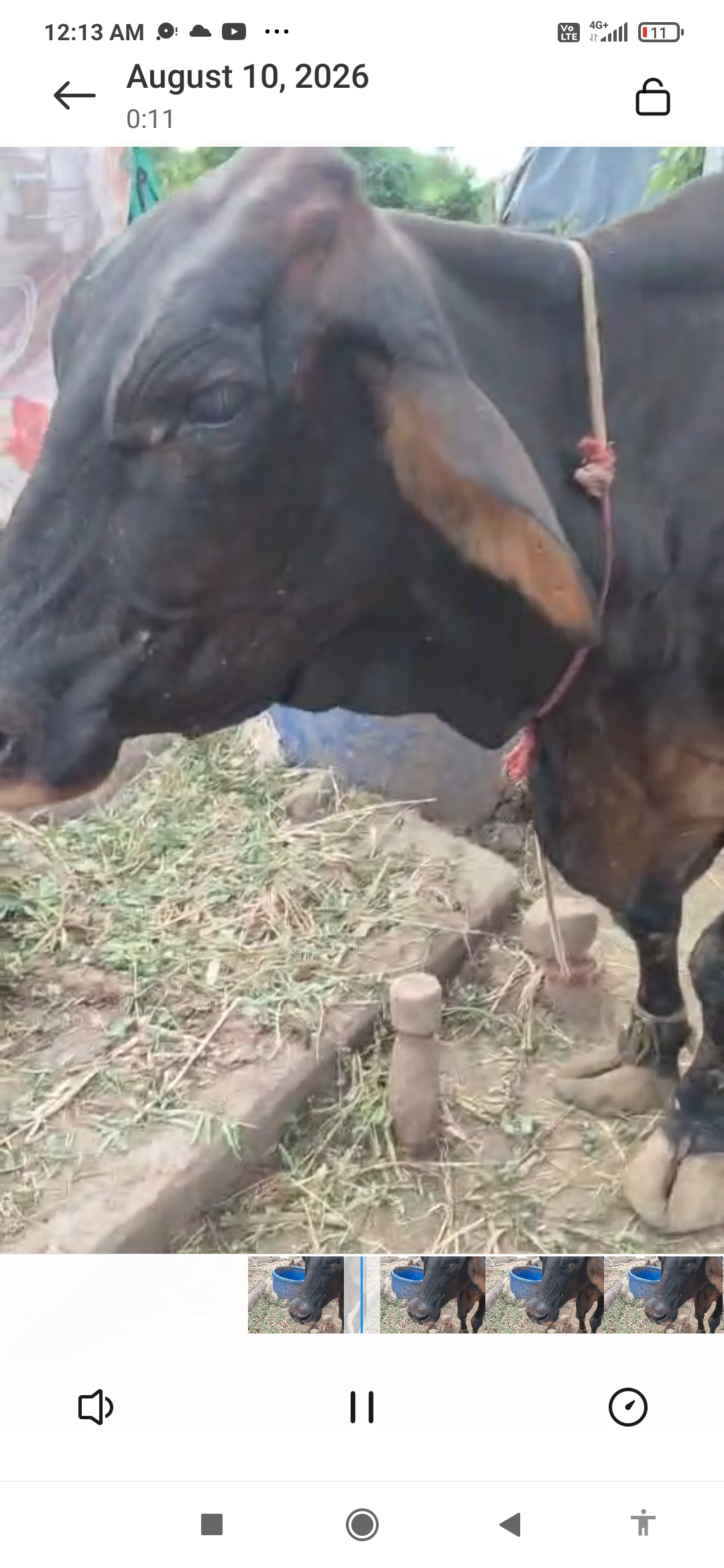 વેચાણ માટે 2