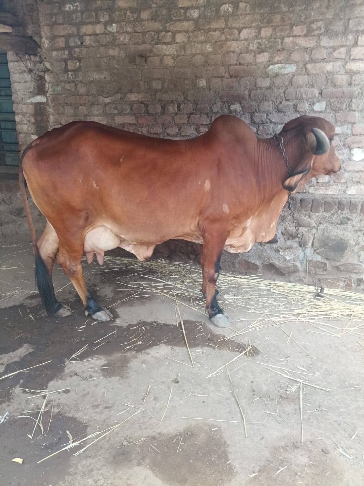 વેચાણ માટે 3
