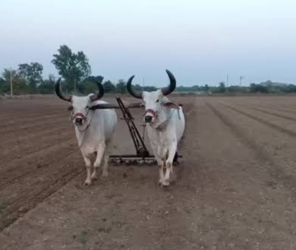 જાહેરાત