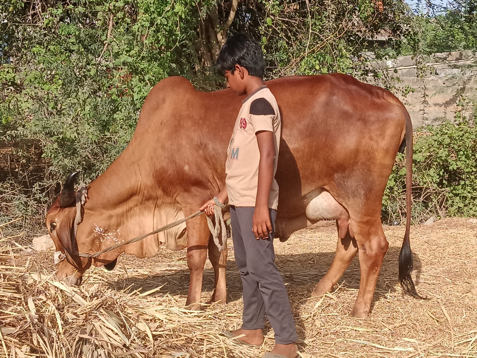 વેચાણ માટે 2