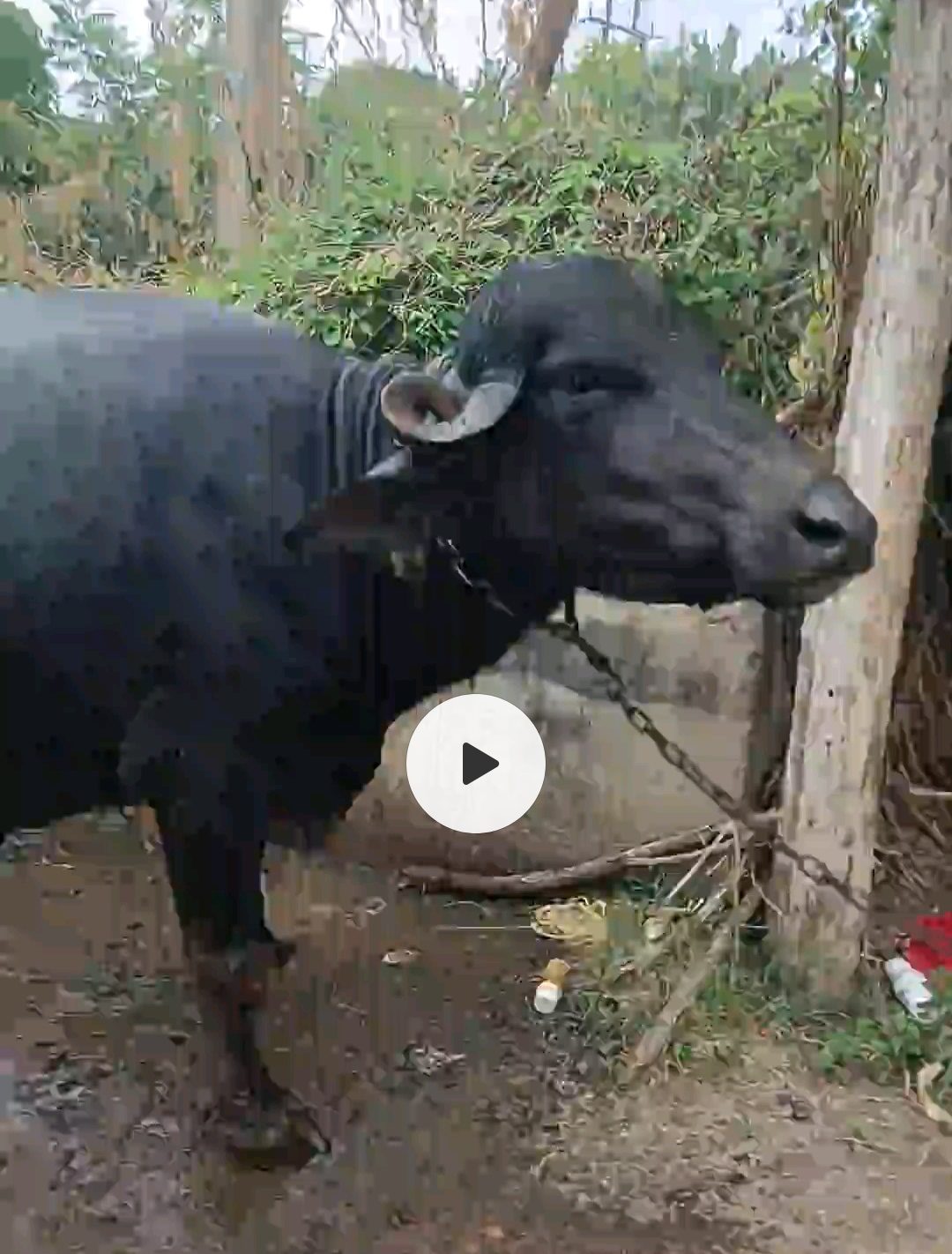 વેચાણ માટે
