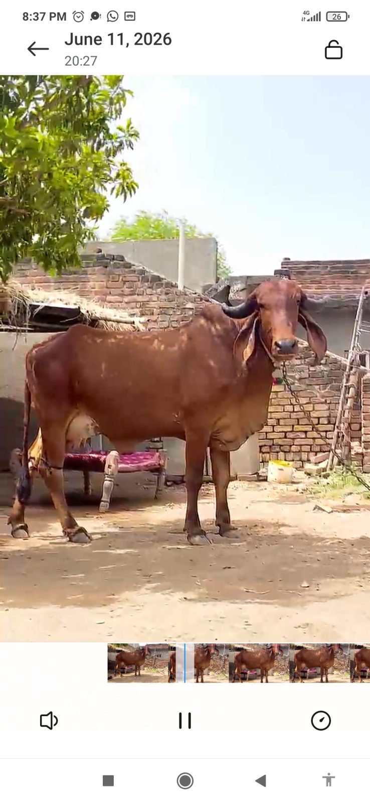 વેચાણ માટે 2