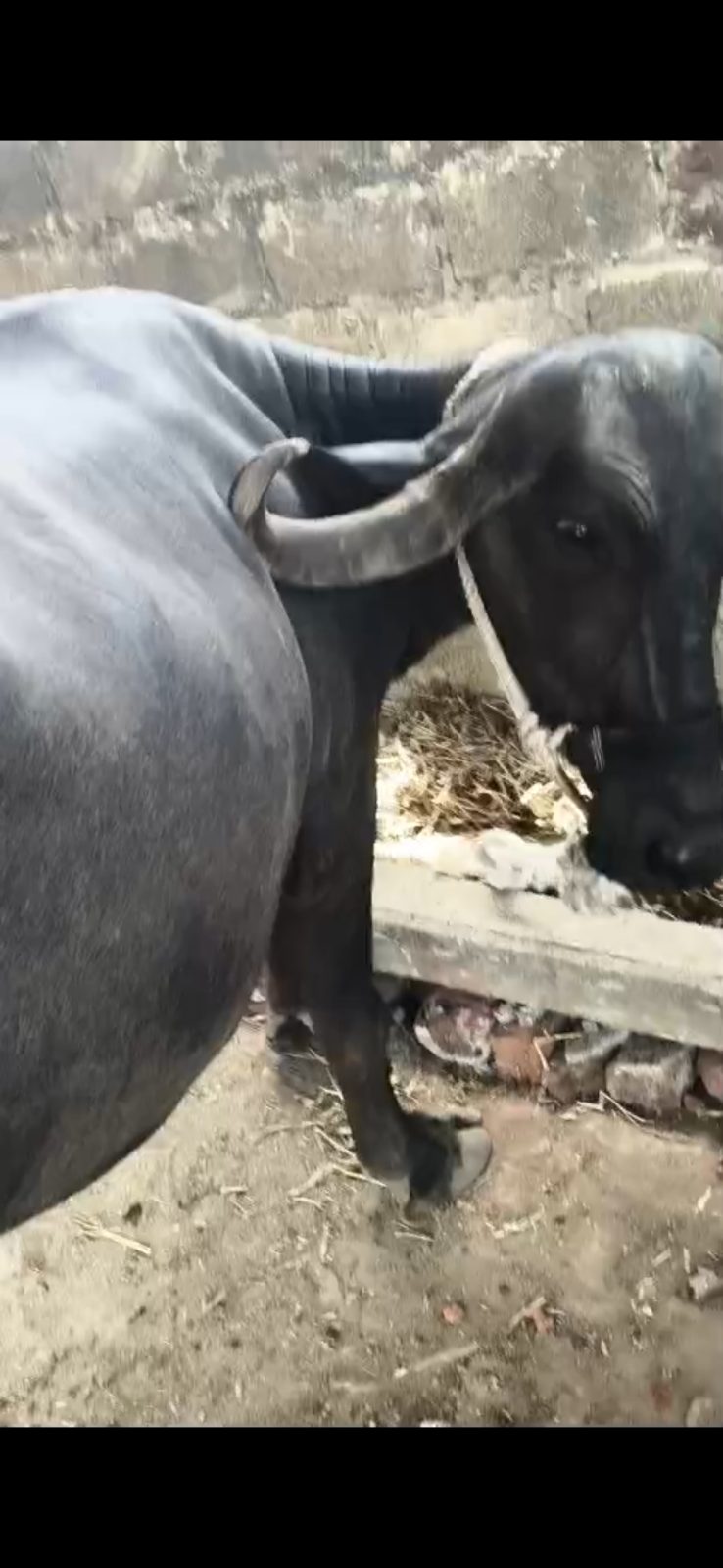 વેચાણ માટે 2