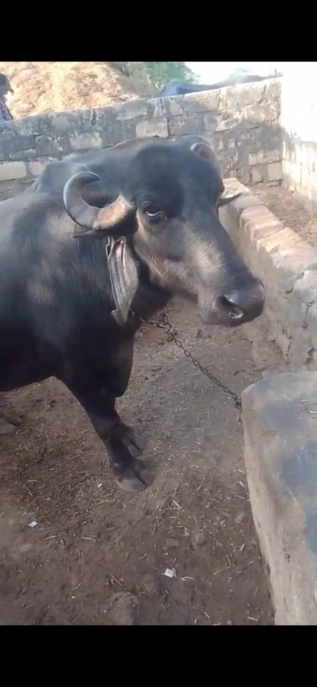વેચાણ માટે 2