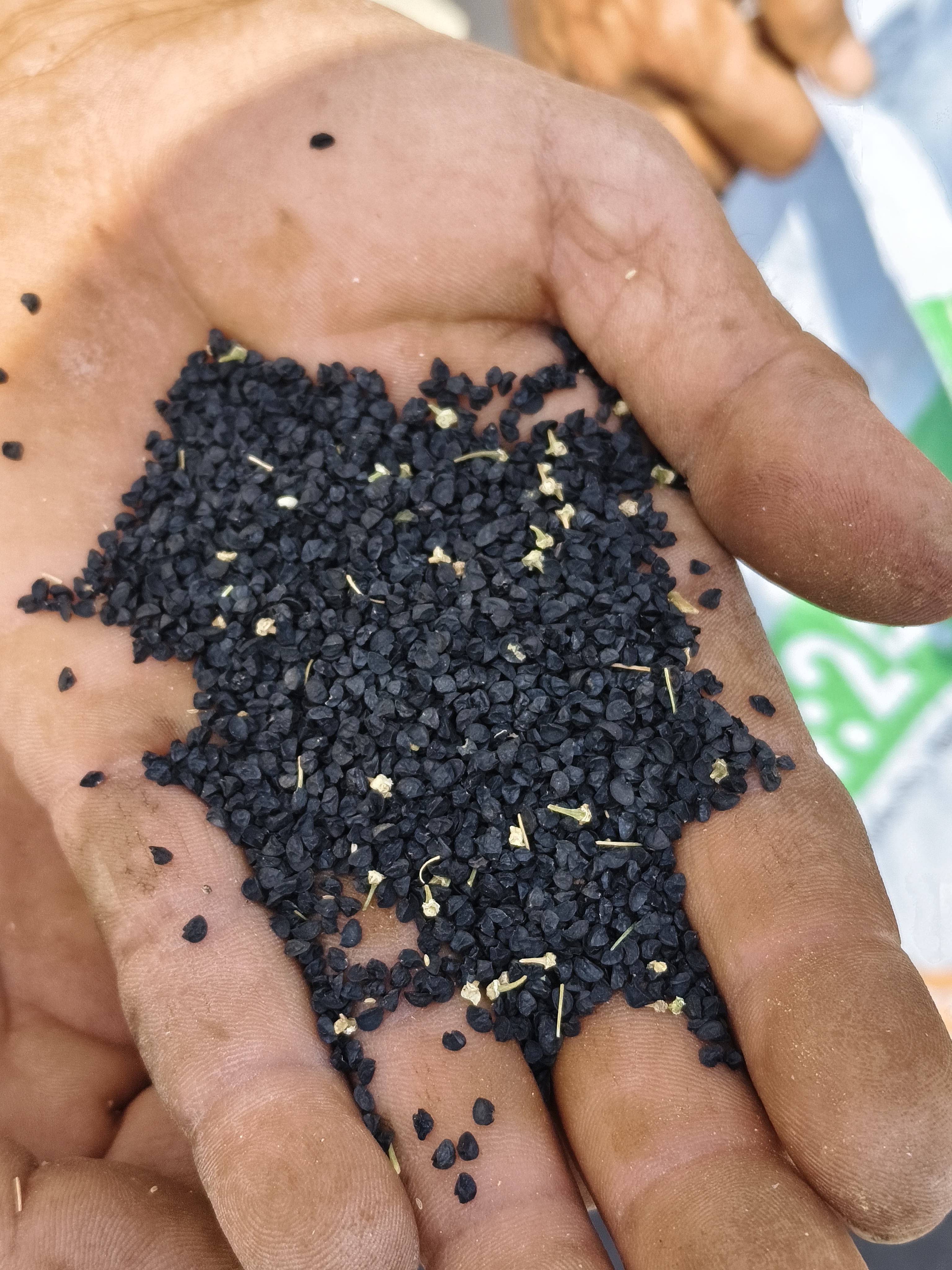 ડુંગળી નું બી વેચવાનું છે -  અશોક ભાઈ સાંકળીયા