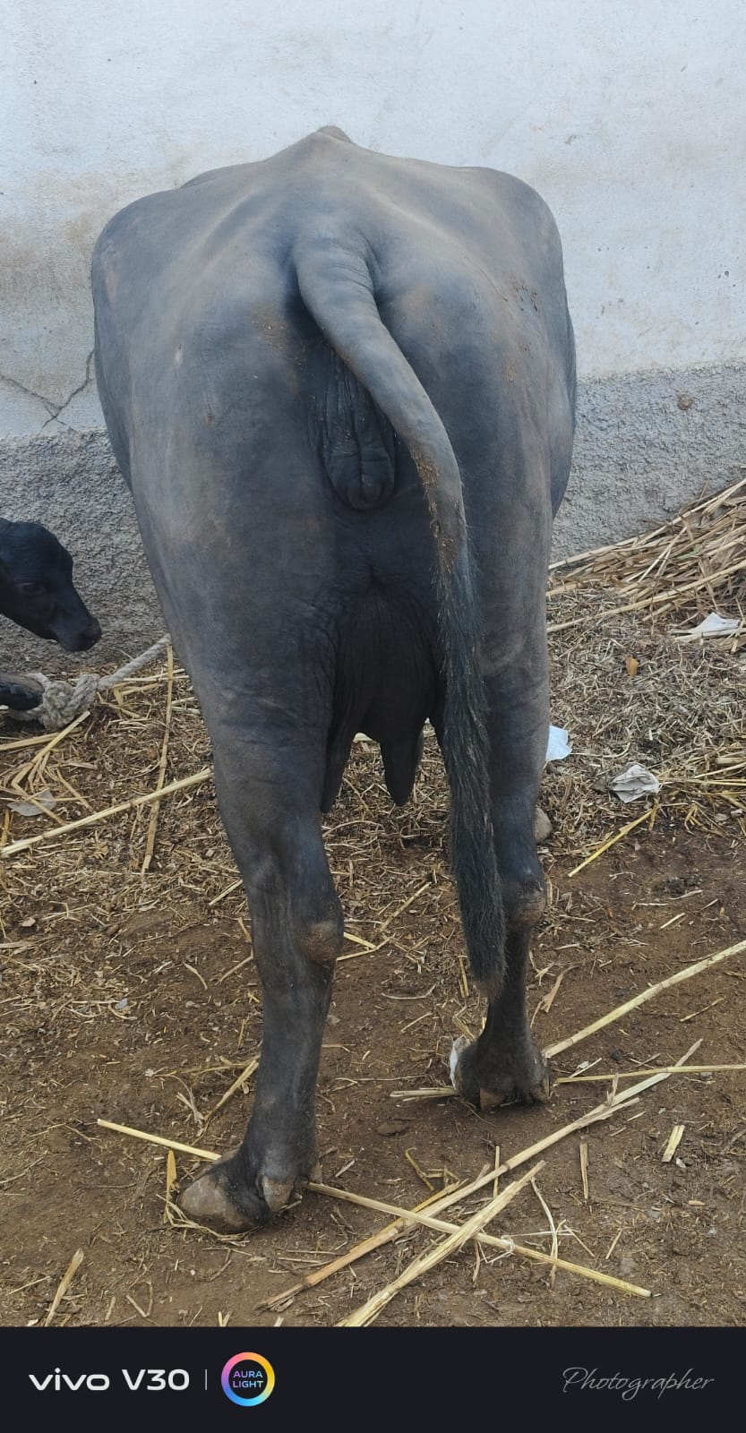 વેચાણ માટે 4