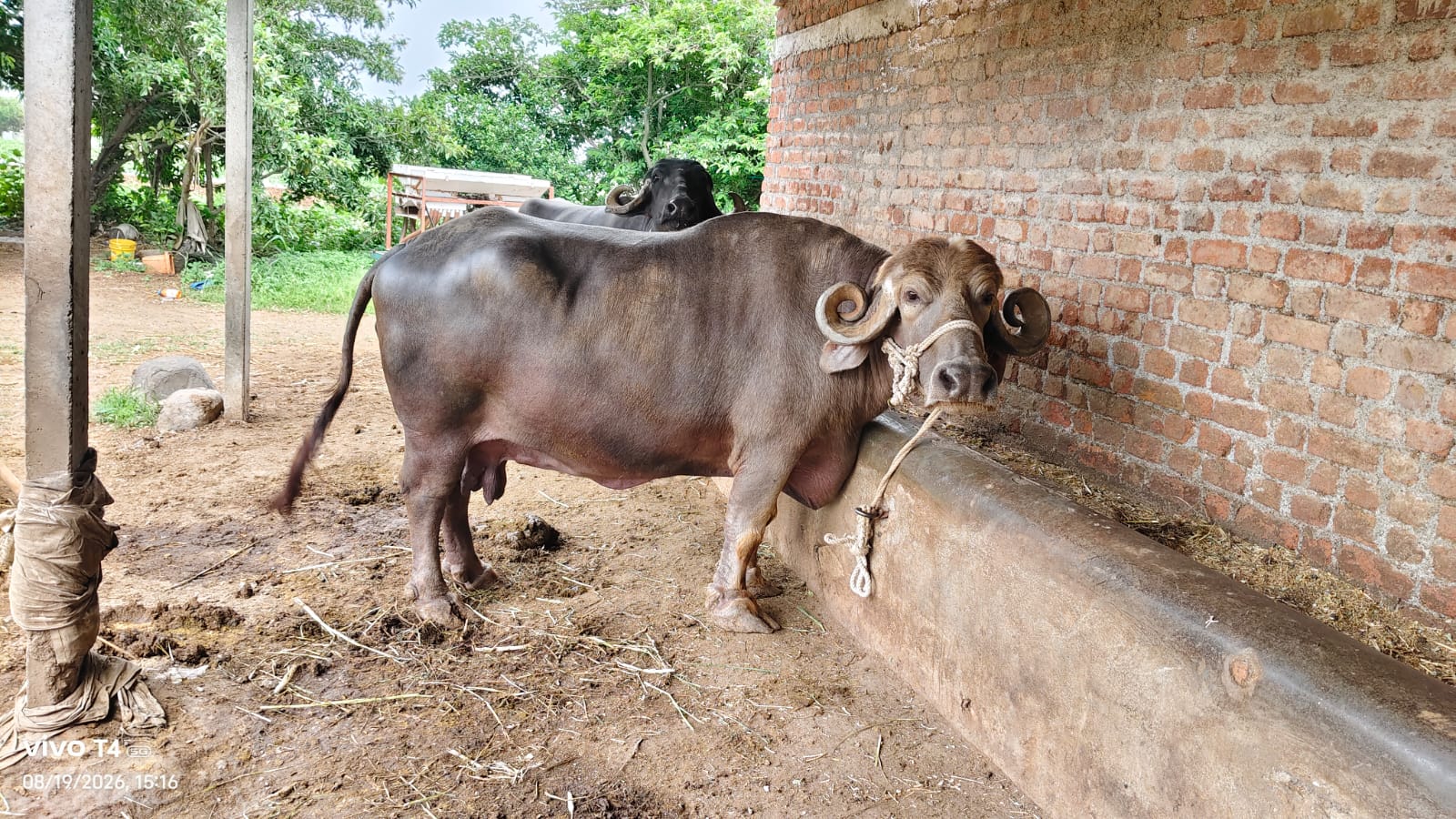 વેચાણ માટે 2