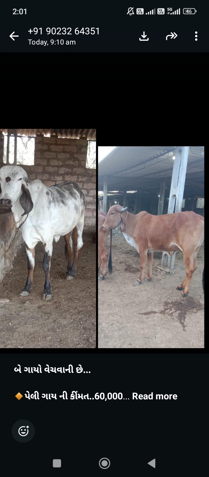 વેચાણ માટે