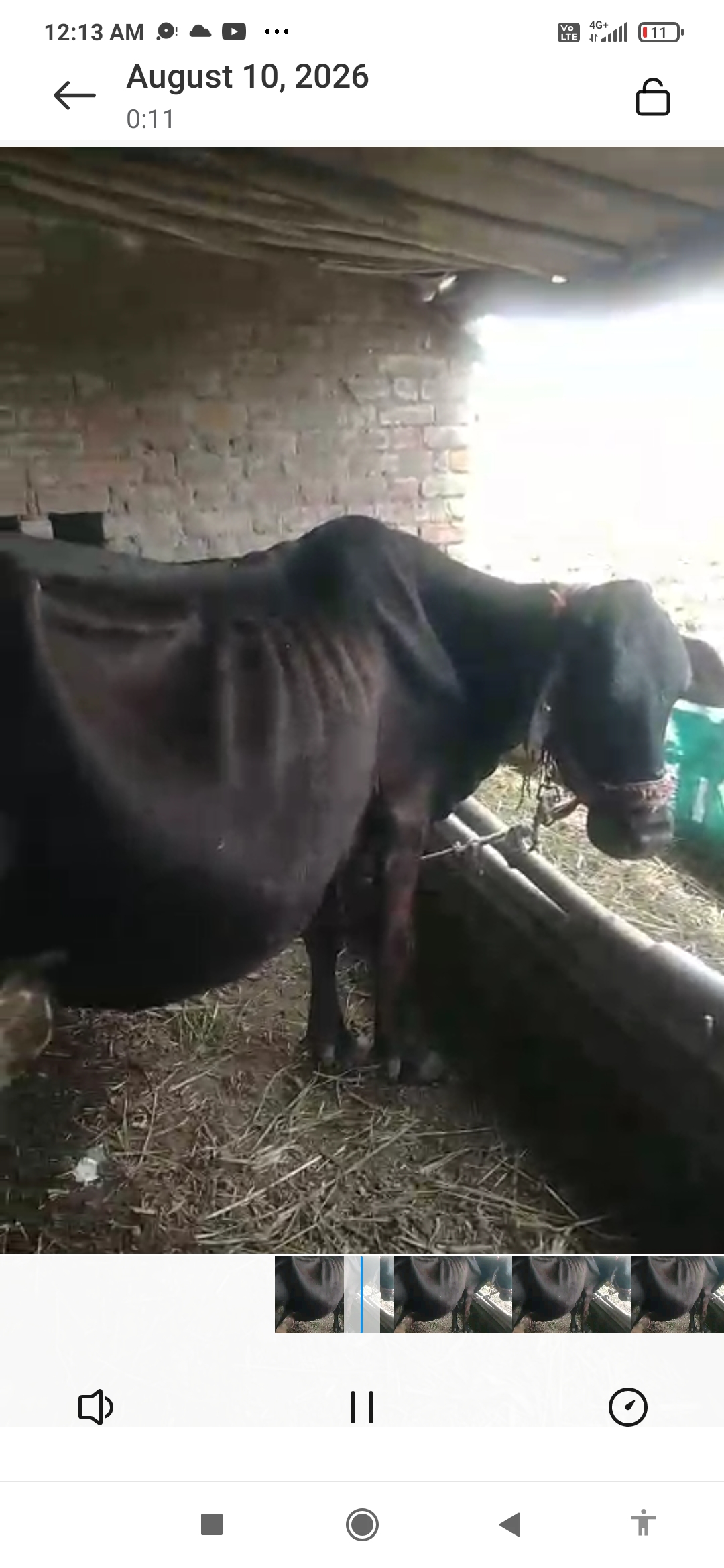 વેચાણ માટે
