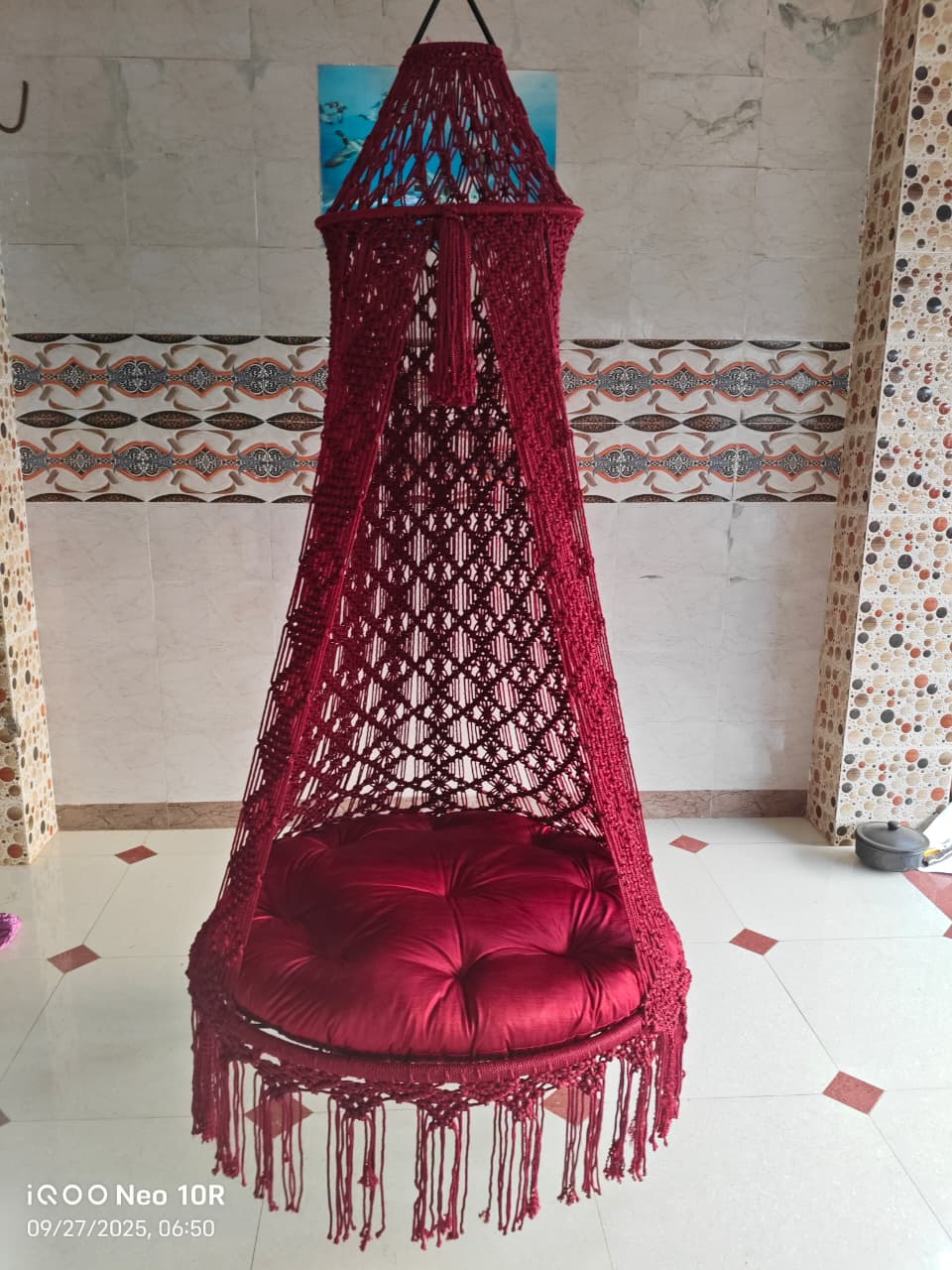 ₹5,000 માં  પશુઓ