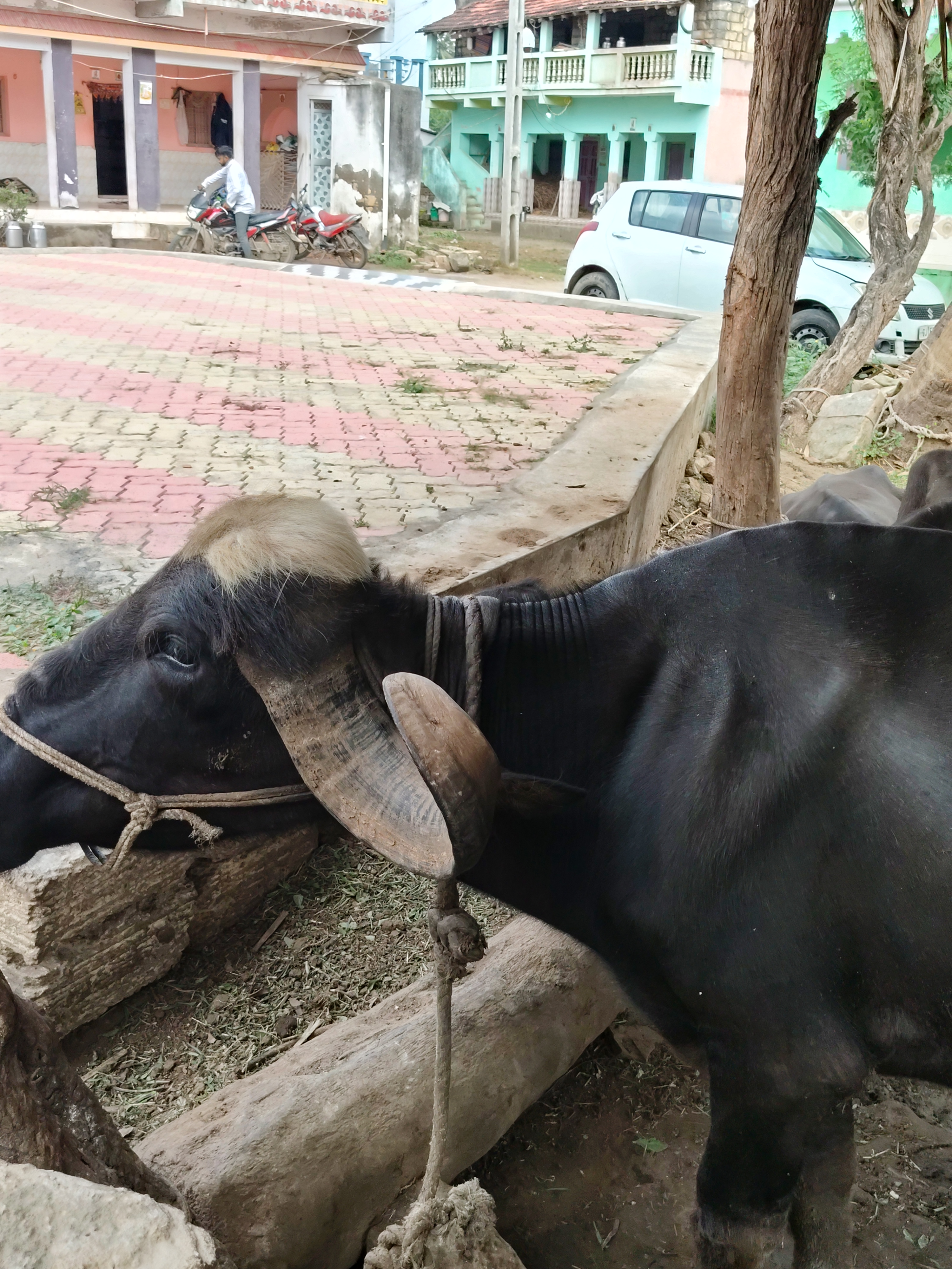 વેચાણ માટે