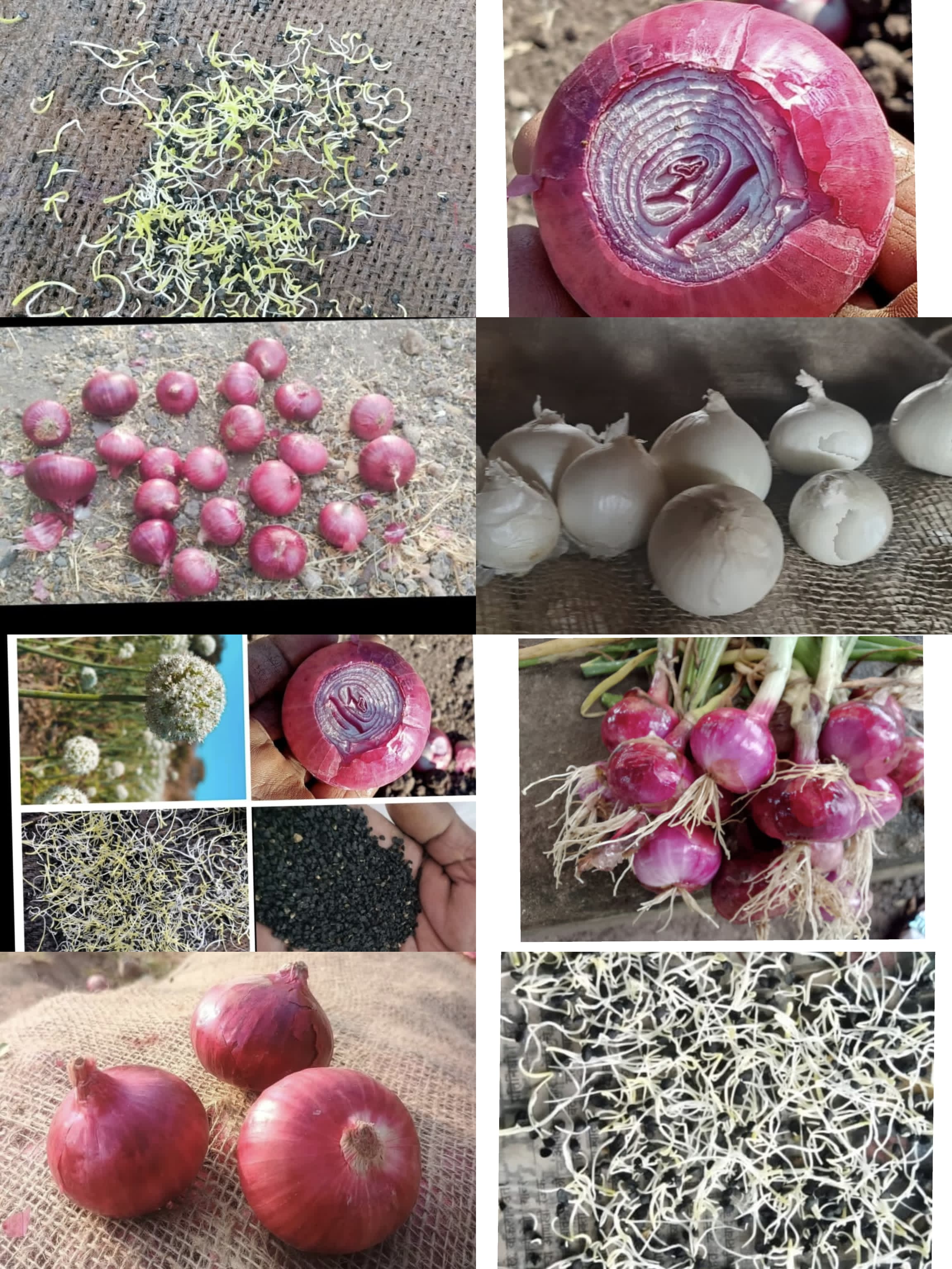 વેચાણ માટે
